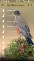 Best Chirping American Robin скриншот 1