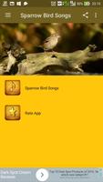 Sparrow Bird Songs Screenshot 1