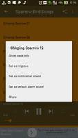 Sparrow Bird Songs скриншот 3