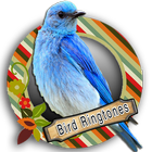 Top Bird Ringtones ไอคอน