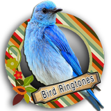 Top Bird Ringtones icône