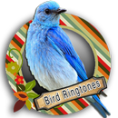 Top Bird Ringtones APK