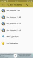 Top Bird Ringtones تصوير الشاشة 1