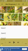 Top Bird Ringtones ảnh chụp màn hình 2