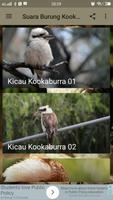 Suara Burung Kookaburra capture d'écran 1
