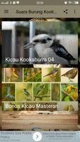 Suara Burung Kookaburra capture d'écran 2