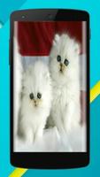 Cat Wallpaper Full HD 😸😻😽 syot layar 1