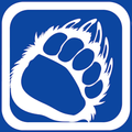 Beset Bear