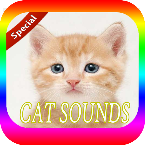 Cat Sounds Mp3