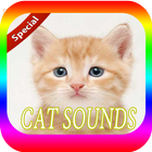 Cat Sounds Mp3 icône