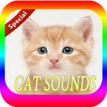 Cat Sounds Mp3