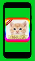 Cat Sounds Mp3 Affiche