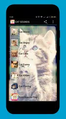 Cat Sounds Mp3 APK download