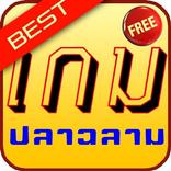 เกมปลาฉลาม ดีที่สุด 10 อันดับ