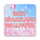 Best Grassland Wallpapers APK