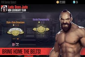 Ultimate Fighting Championship Screenshot 1