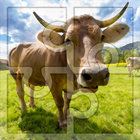 Best Free Jigsaw for Kids: Cows Puzzles icône