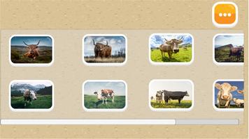 Best Free Jigsaw for Kids: Cows Puzzles Affiche