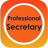 Professional Secretary ícone
