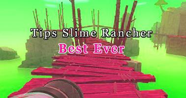 Pro Slime Rancher Best Tips capture d'écran 1
