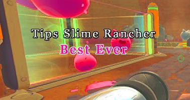Pro Slime Rancher Best Tips capture d'écran 2