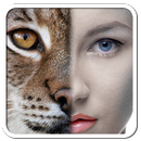 MagicFace APK