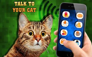 Cat translator dictionary syot layar 2