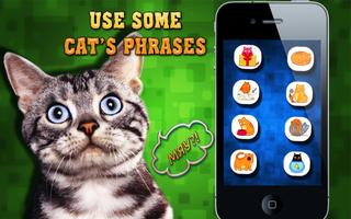 Cat translator dictionary 截图 3