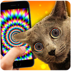 Cat hypnosis simulator icône