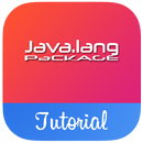 Learn Java.lang Package Full Offline APK