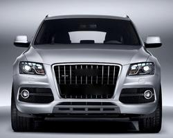 Themes Audi Q5 screenshot 3