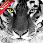 Tiger Wallpaper HD Free आइकन