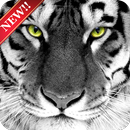 Tiger Wallpaper HD Free APK