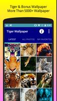Tiger Wallpaper HD Free plakat