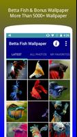 Betta Fish Wallpaper HD Free poster