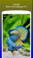 Betta Fish Wallpaper HD Free स्क्रीनशॉट 1