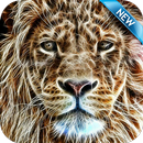 Lion Wallpaper HD Free aplikacja