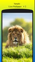 Lion Wallpaper स्क्रीनशॉट 2