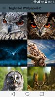 Night Owl Wallpaper HD Affiche