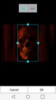 Skull Wallpapers Ekran Görüntüsü 3