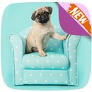 Pug Life Wallpapers APK