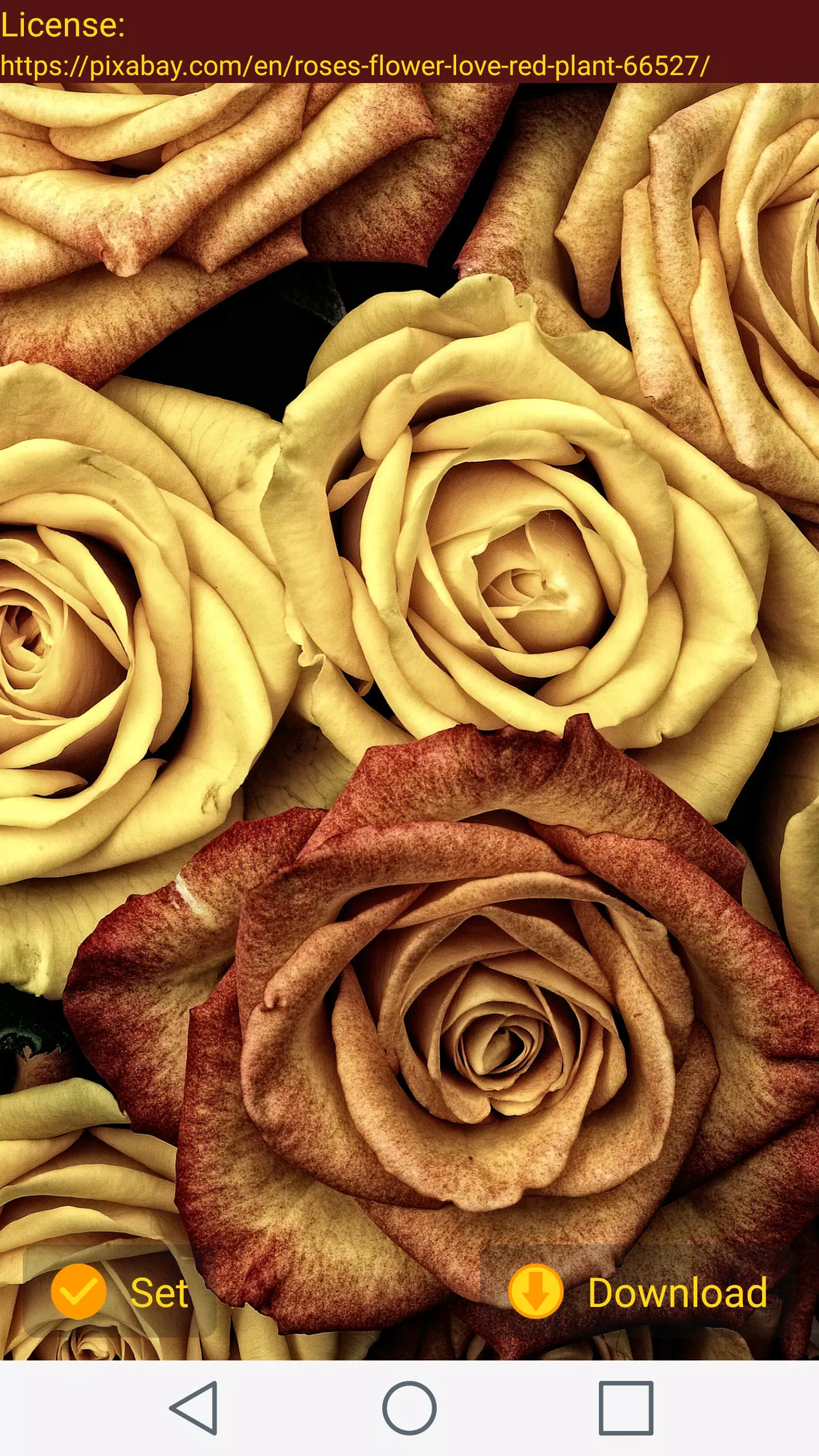 1000 Wallpapers Free APK for Android Download 1000 Wallpapers Free APK for Android Download