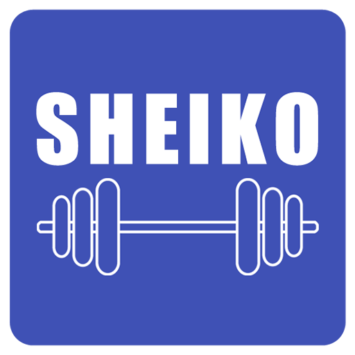 Sheiko Powerlifting Workout