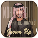Murottal Juz M Taha Al Junayd Grown Up APK