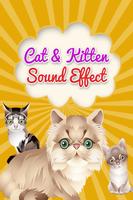 Cat and Kitten Sound Effects الملصق