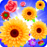 Blossom Splash Deluxe