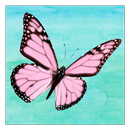 Kissy Project APK