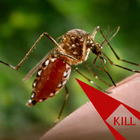 Anti Dengue icône