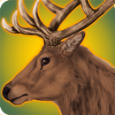 Hunting Animals in Jungle : Forest Sniper shooter APK