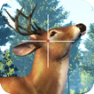 ”Jungle Deer Hunting Challenge